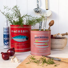 Afbeelding in Gallery-weergave laden, Opbergblikken Vissen - set van 2 - XL - Rex Londen